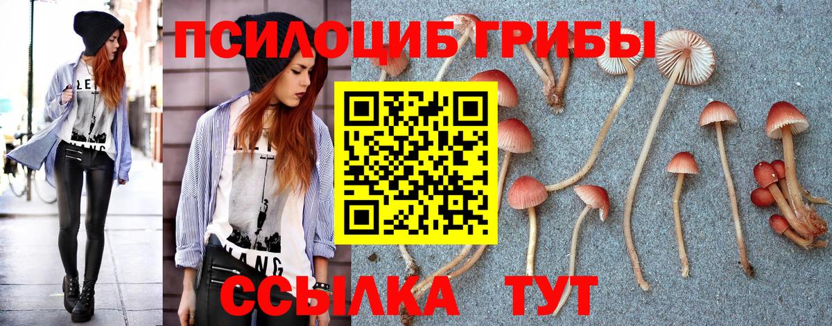 Псилоцибиновые грибы MAGIC MUSHROOMS  Псилоцибиновые грибы Psilocybine cubensis  Вход с VPN  Советская Гавань 