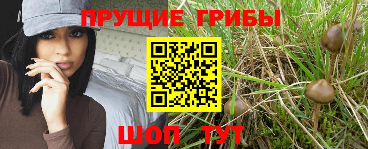 Псилоцибиновые грибы мухоморы Советская Гавань